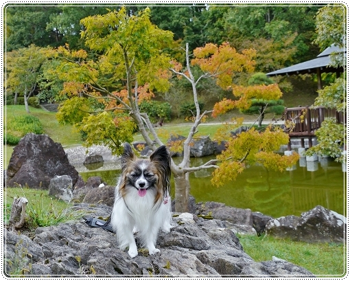 9akifukukou2012-1.jpg