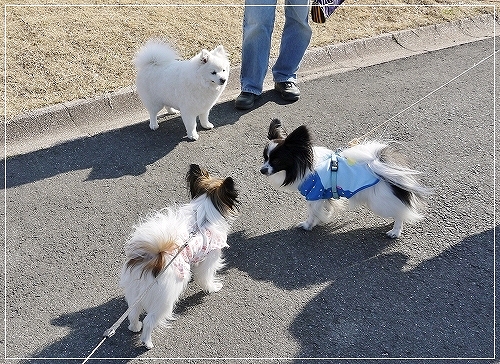 9dai_20120711193247.jpg