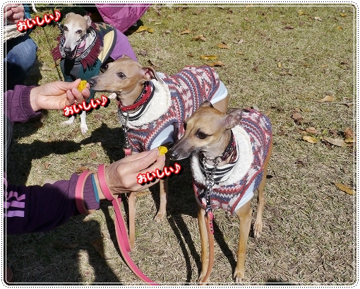 9imoni24.jpg