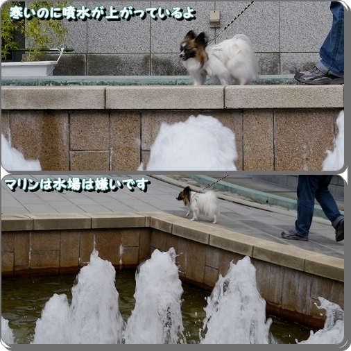 9peco.jpg