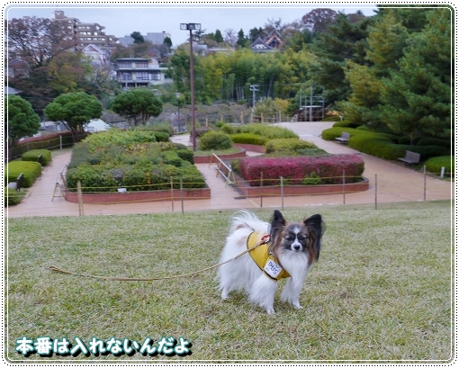 9taimatu2012-1.jpg