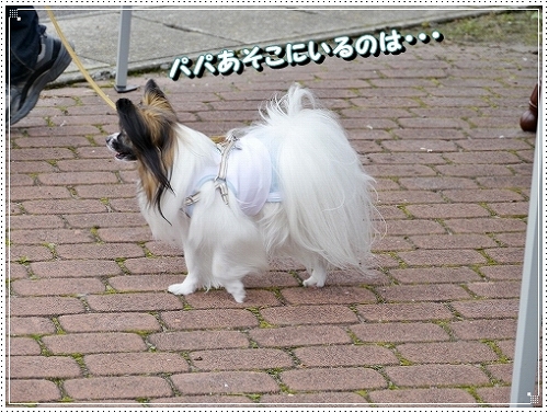 9tamura_20120724004352.jpg