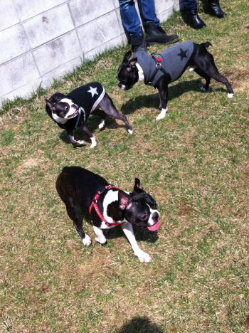 IMG_2695_convert_20120422230602.jpg