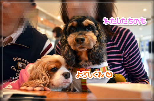10DSC_2140.png