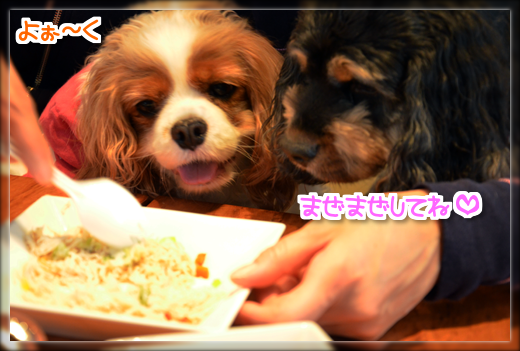 10DSC_2202.png