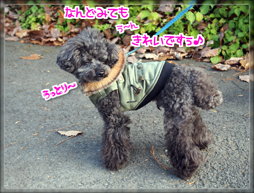 10PB110051.png