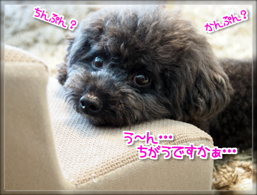 11P7310550.png