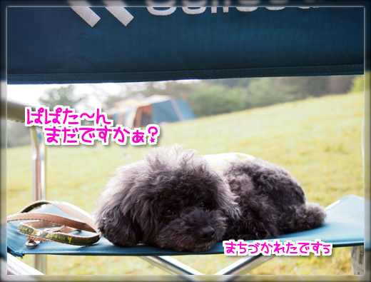 11PA041070.png