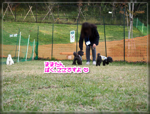 11PA1803230.png