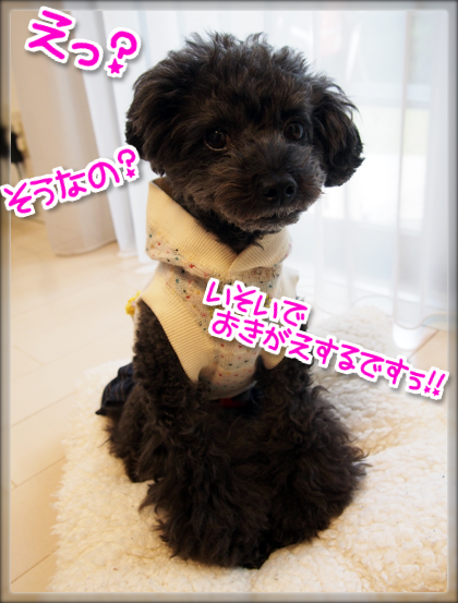 11PB070356.png