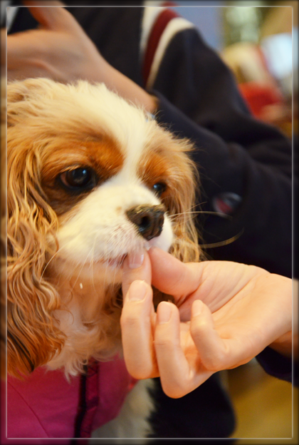 12DSC_2213.png