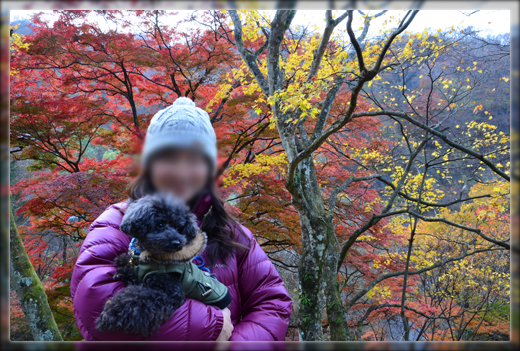 12DSC_2742.png