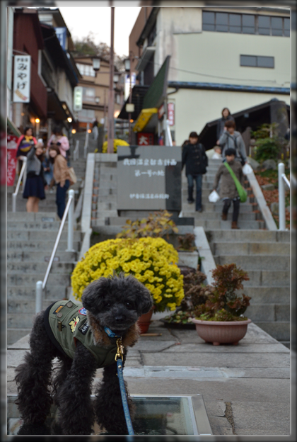 12DSC_2814.png