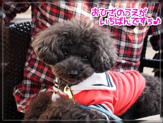 12PA190404.png