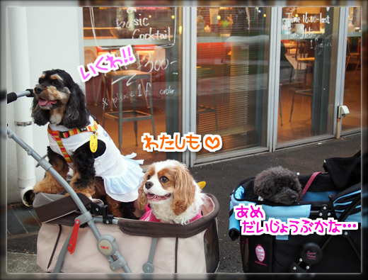 12PB010340.png