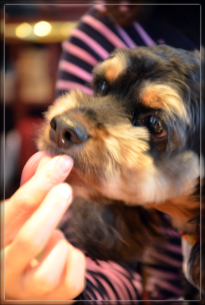 13DSC_2208.png