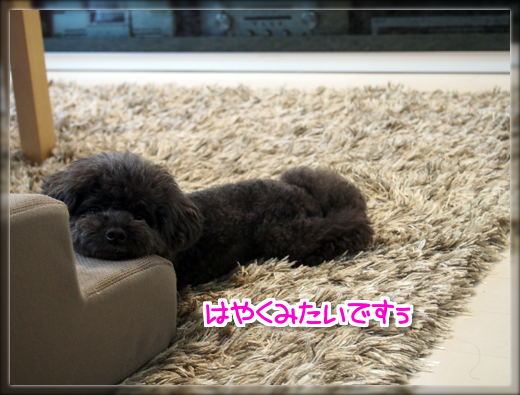13P7310551.png