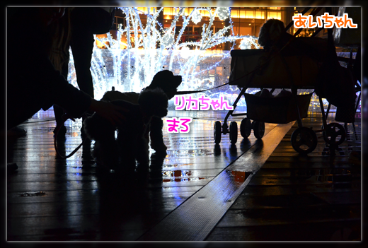 14DSC_2584.png