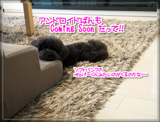 14P7310554.png