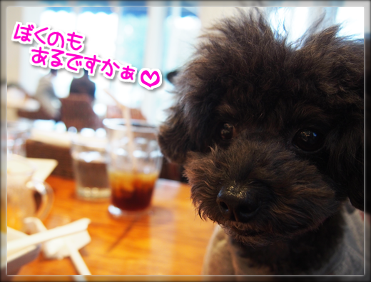 14PB010245.png