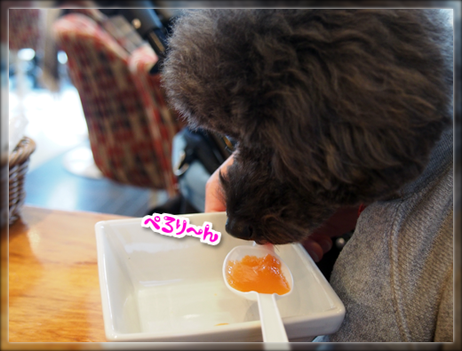 15PB010237.png