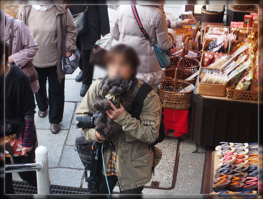15PB110057.png