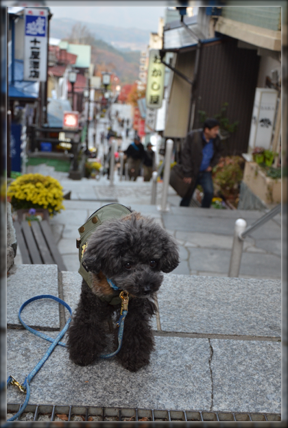 16DSC_2790.png