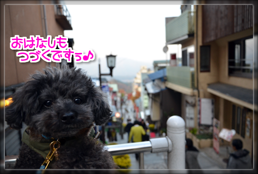 17DSC_2806.png