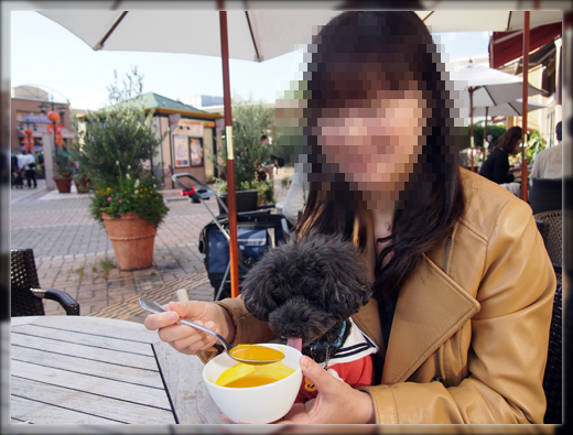 18PA190439.png