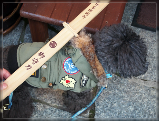 19PB110060.png