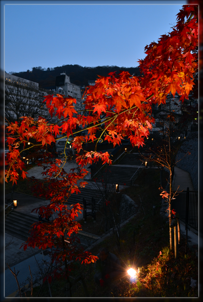 1DSC_2874.png