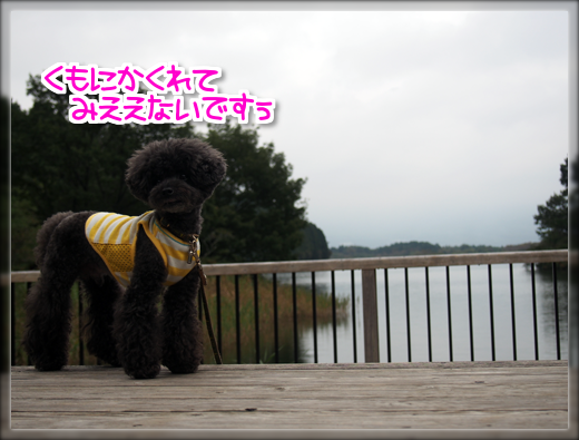 21PA041147.png