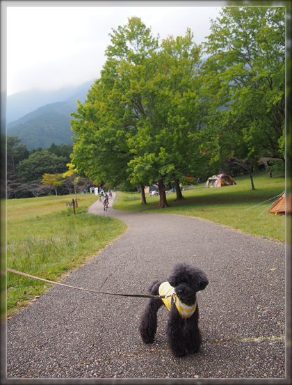 22PA041130.png