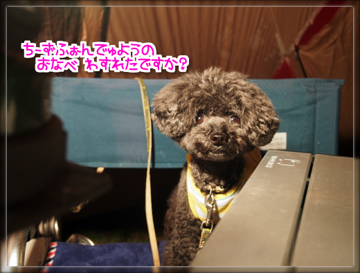 24PA030962.png