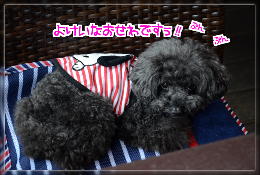 25DSC_9329.png