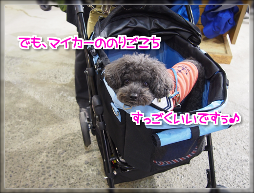 26PA190508.png