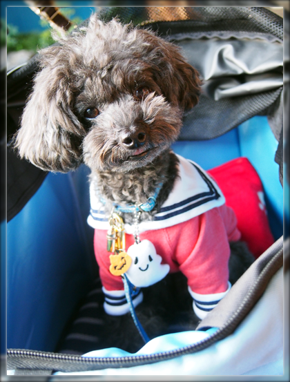 29PA190520.png