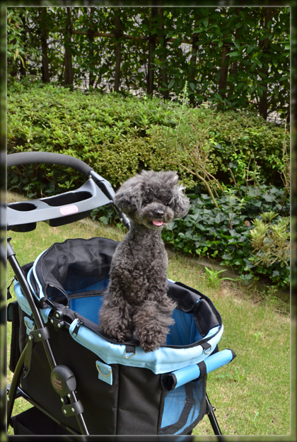 2DSC_0418.png