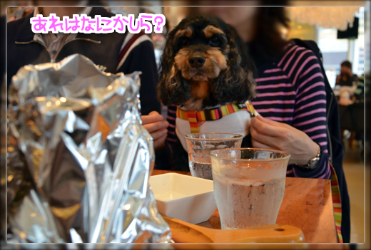 2DSC_2167.png