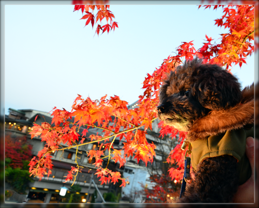 2DSC_2867.png