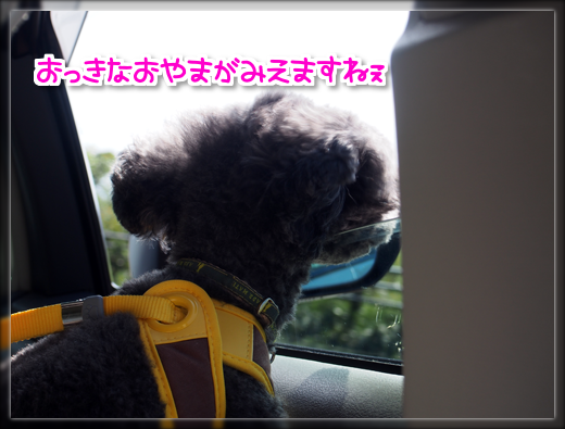 2PA030910.png