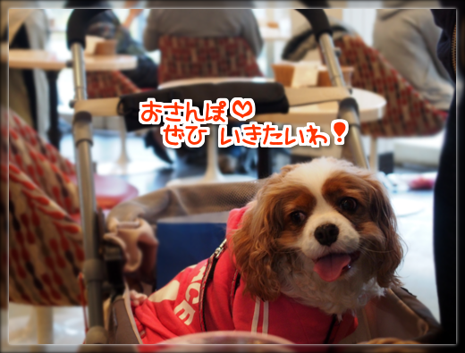 2PB010260.png