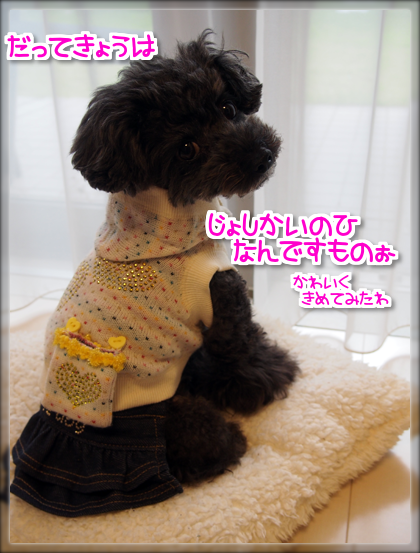 2PB070364.png