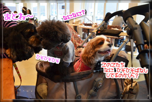 3DSC_2329.png