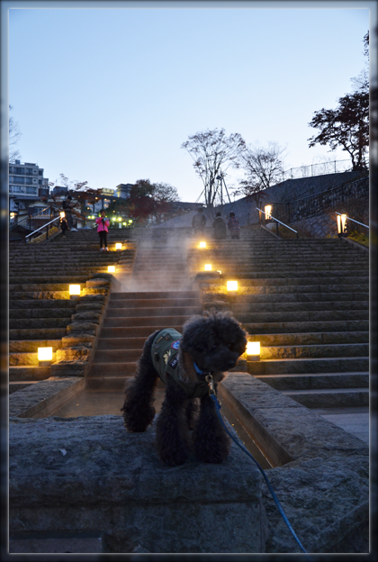 3DSC_2893.png