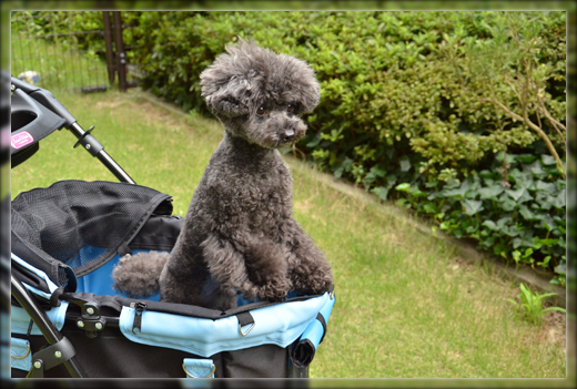 4DSC_0400.png