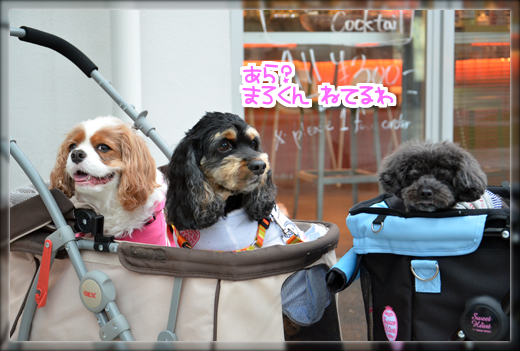 4DSC_2428.png