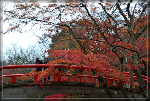 4DSC_2657.png