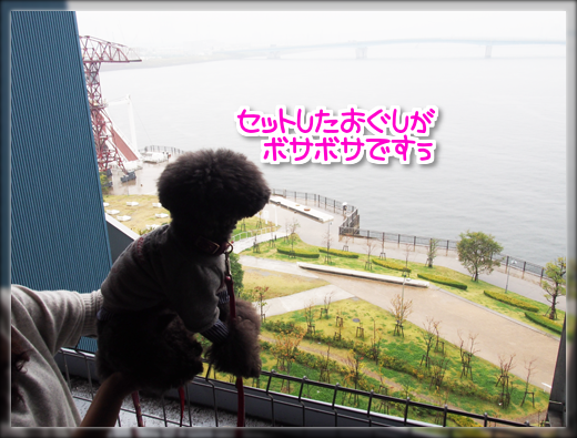 4PB010209.png