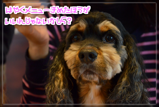 5DSC_2109.png